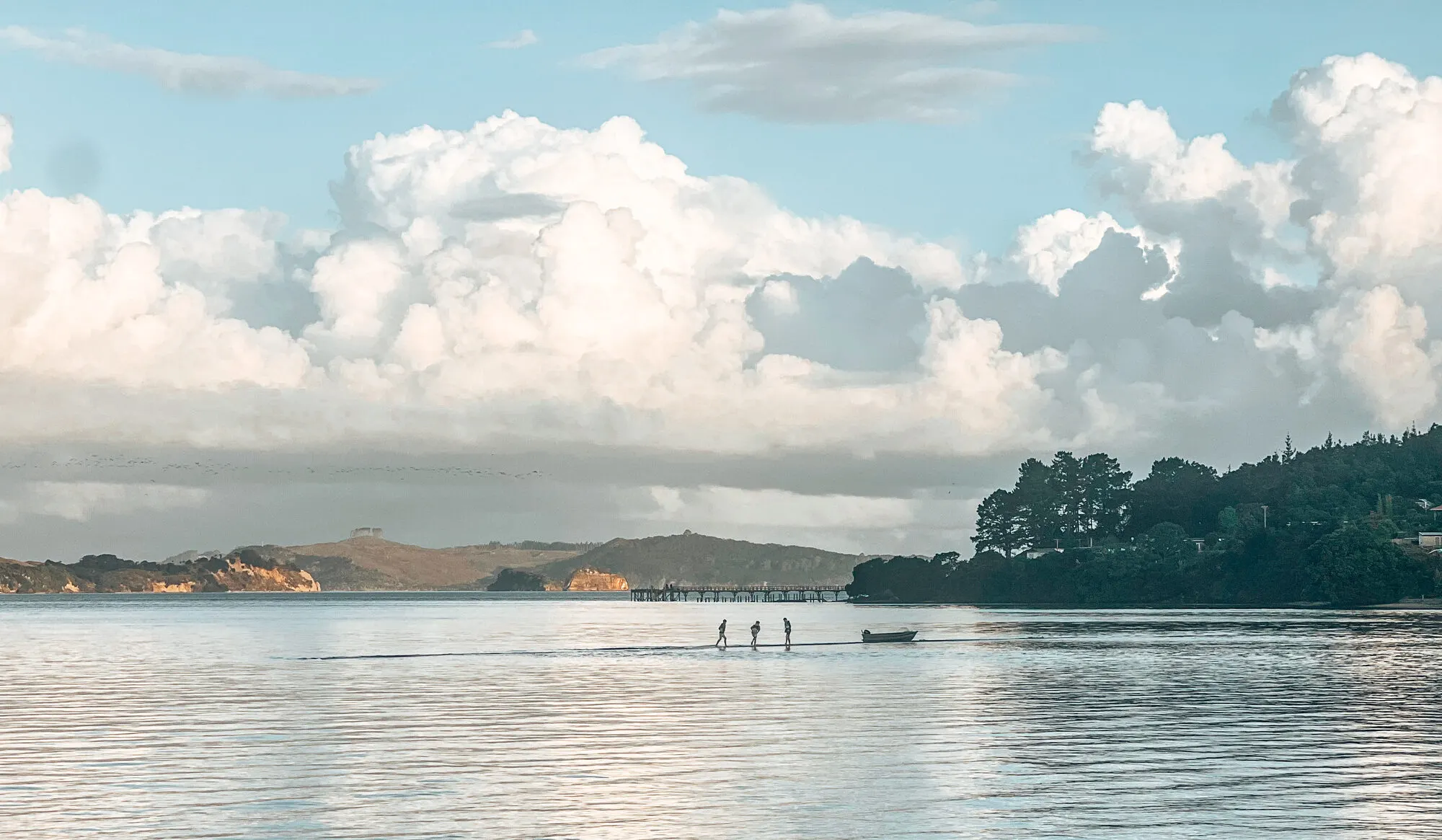 The reserve at Tinopai, beside the marina